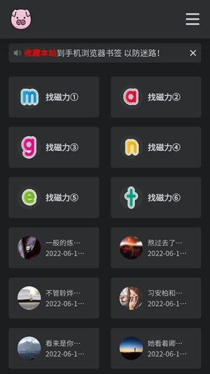 bt磁力猪手机版