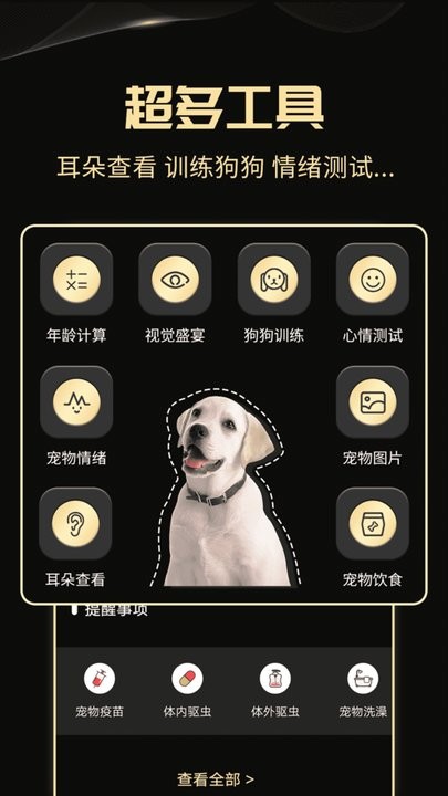 人狗交流神器app下载