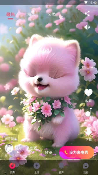 来电秀1