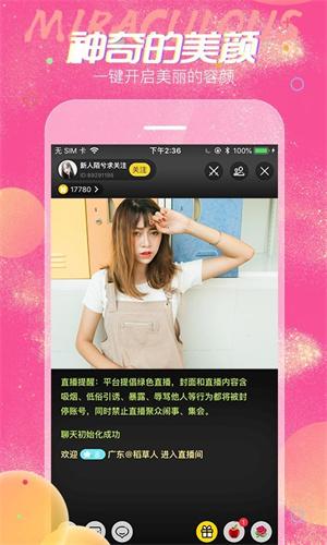 小狐狸直播