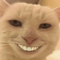 卡哇伊直播