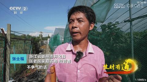 啵啵直播