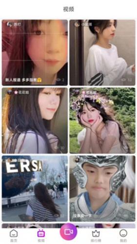 金星直播免费版