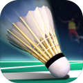 Real Badminton World Racing 2018最新中文版下载