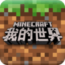 我的世界0.16.0.5