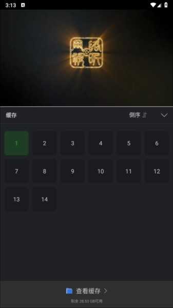 狮子影评