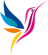 蜂鸟影院TV版下载