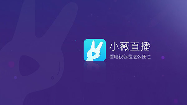 小微TV电视版安装包