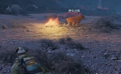 破碎之地初始坐骑获取攻略