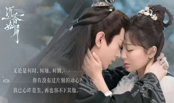 风信影视TV版