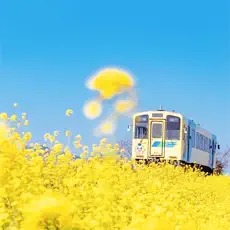清新壁纸