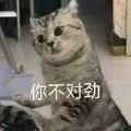 你不对劲