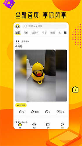 菠萝影视