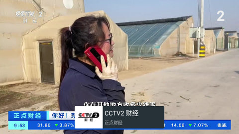 我的电视TV版图片8