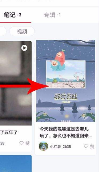 小红书app