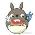 龙猫追剧 最新版