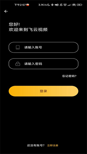 飛云視頻