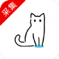 貓影視