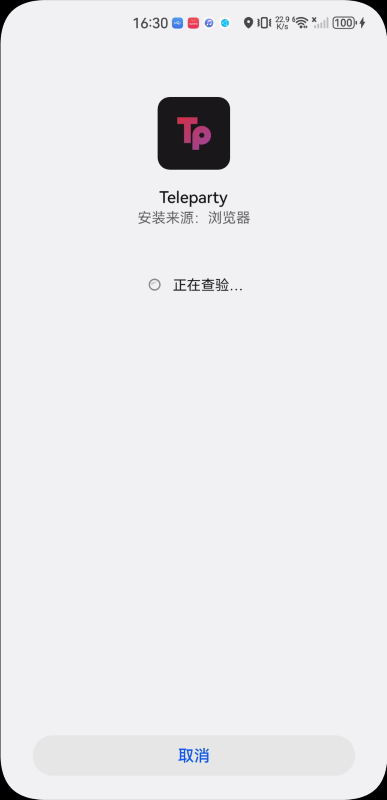 Teleparty