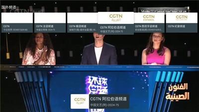 随风TV