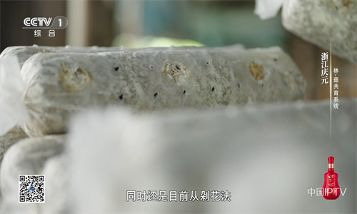 星火电视直播