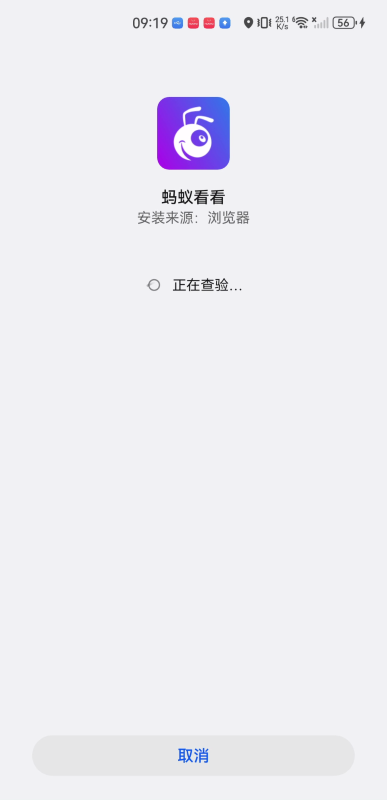 蚂蚁看看