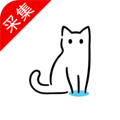 猫影视最新接口2022