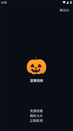 蓝莓视频免费版