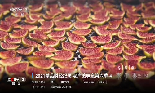 玖影库电视版