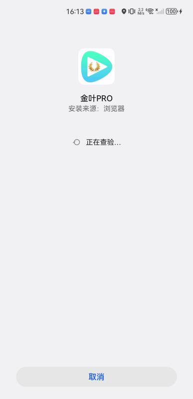 金叶PRO影视