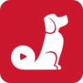 红小狗视频在线观看v1.3.0.4