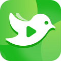 白鸟影评软件v3.7.0