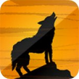 夜狼映拍v3.4.2