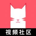 猫咪视频app官网下载v1.1.4