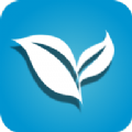 叶子TVv1.3.2