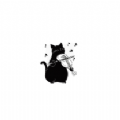 陌享猫音v1.1