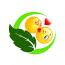 豆豆Bv1.5.3
