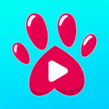 恋狗网v1.5.3