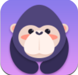 酷我聚星appv8.36.00