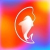 鲤想记v1.3.01