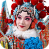 梨园春戏曲大全v2.4