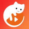 爱多猫v1.5