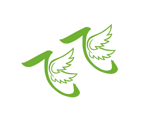 
飞飞TV