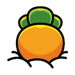 果茶視頻app最新版