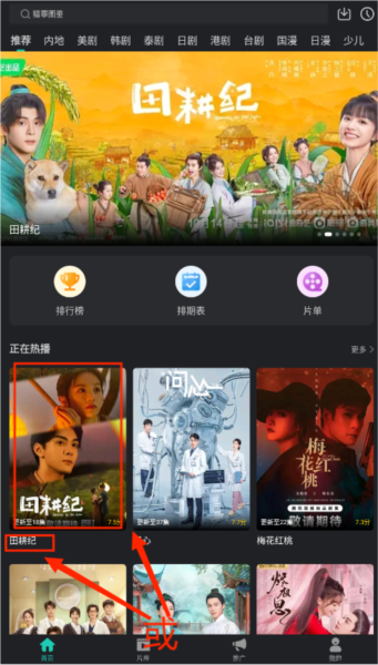 海鸥影评图片15