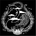 天鹅影视v1.2.2
