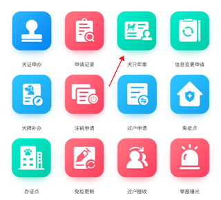 怎么年审配图2