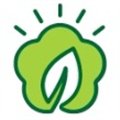 叶子影视app官方版