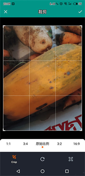 Apus文字识别官网