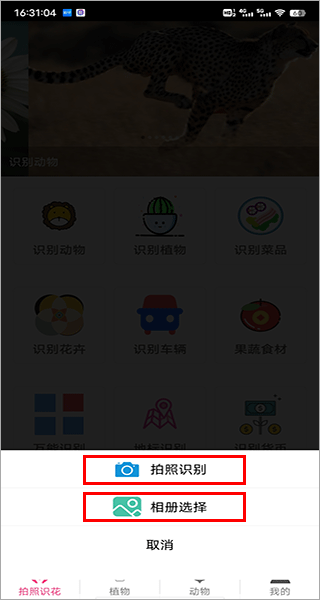拍照识花神器app
